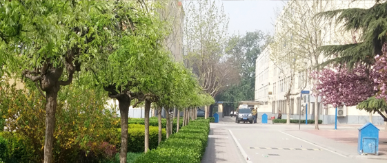 河北经济管理学校环境
