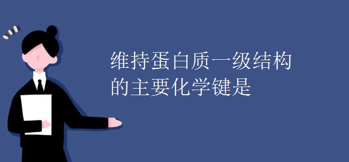 维持蛋白质一级结构的主要化学键是