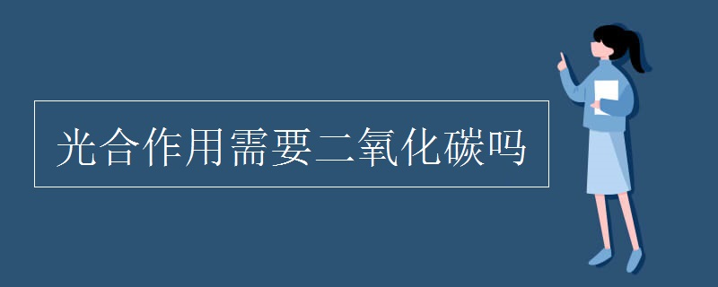 光合作用需要二氧化碳吗