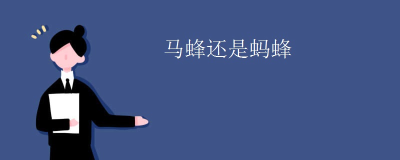 马蜂还是蚂蜂