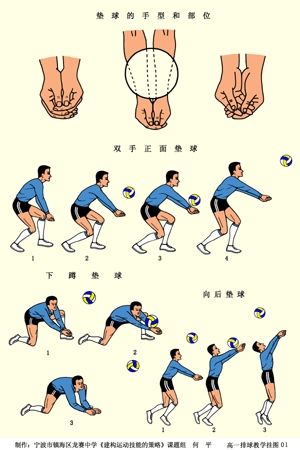 中考排球垫球手势图解 垫球完整动作解析