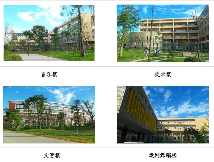 四川艺术职业学院环境