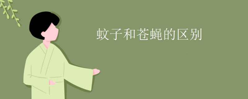 蚊子和苍蝇的区别