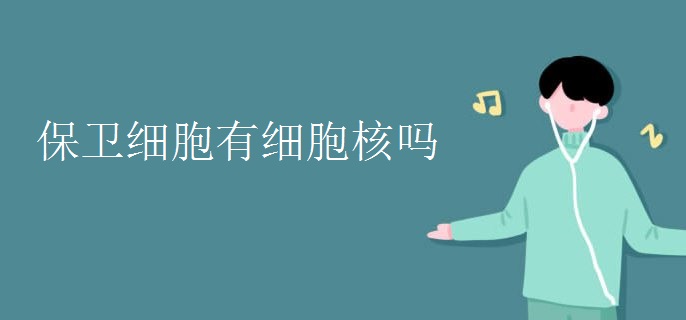 保卫细胞有细胞核吗