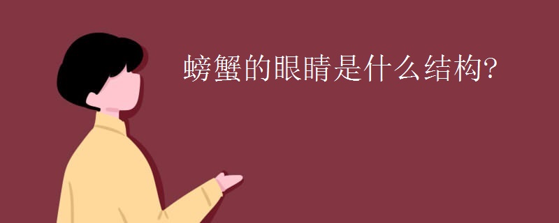 螃蟹的眼睛是什么结构?