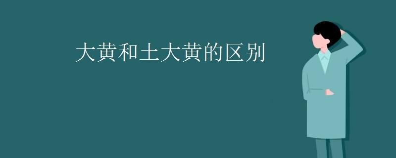 大黄和土大黄的区别