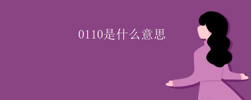 0110是什么意思