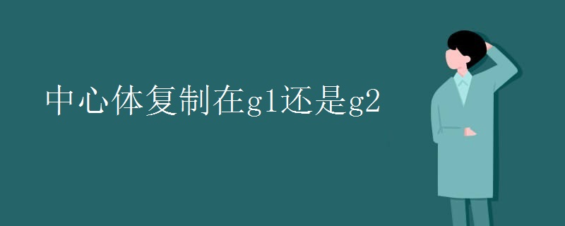 中心体复制在g1还是g2