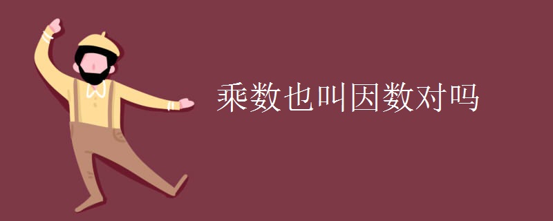 乘数也叫因数对吗