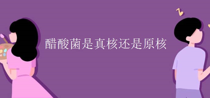 醋酸菌是真核还是原核