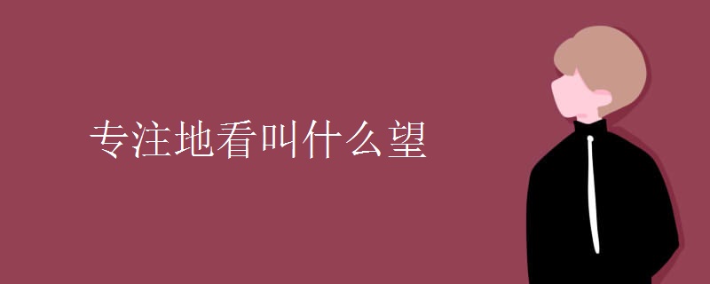 专注地看叫什么望