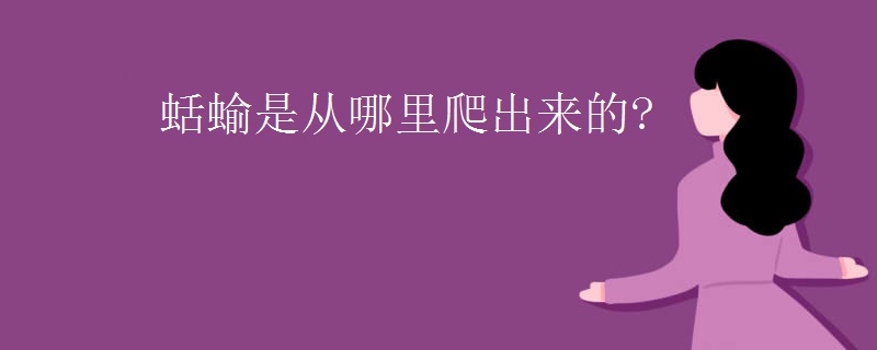 蛞蝓是从哪里爬出来的?