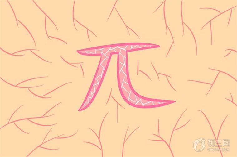 初中数学常数是什么