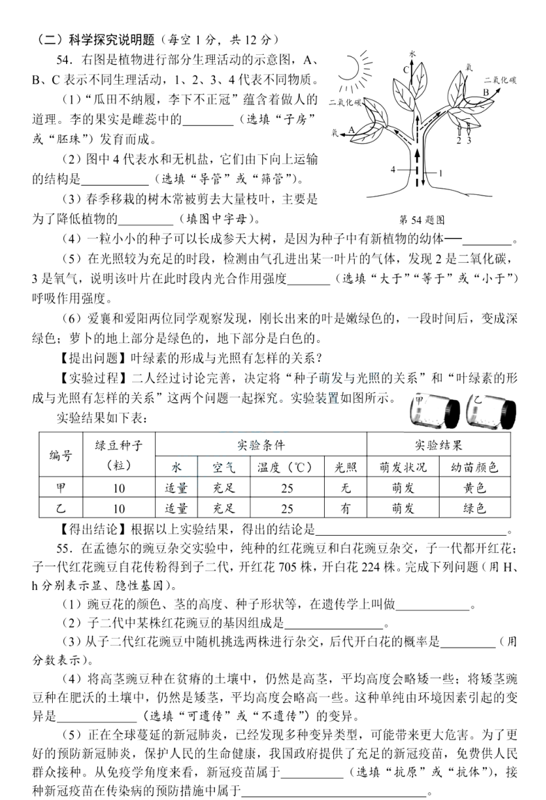 微信图片10