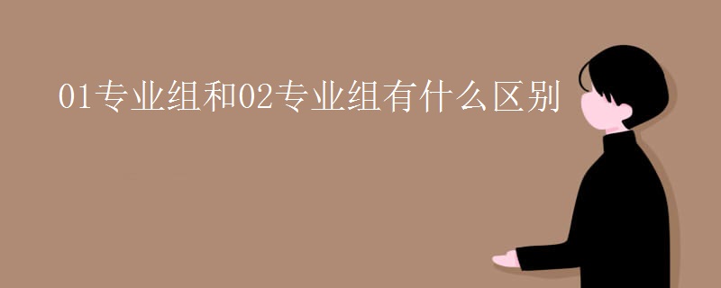 01专业组和02专业组有什么区别