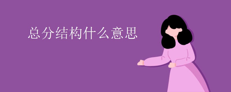 总分结构什么意思