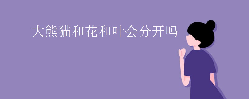 大熊猫和花和叶会分开吗