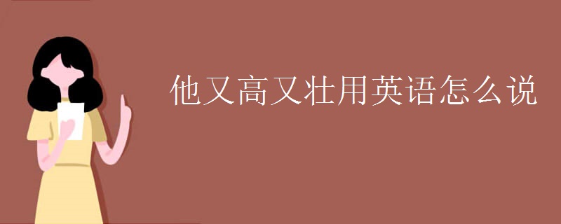 他又高又壮用英语怎么说