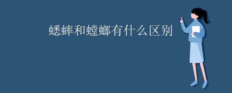 蟋蟀和螳螂有什么区别