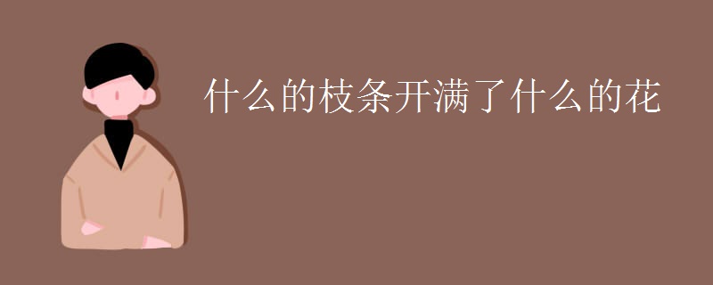 什么的枝条开满了什么的花