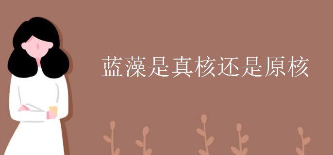 蓝藻是真核还是原核