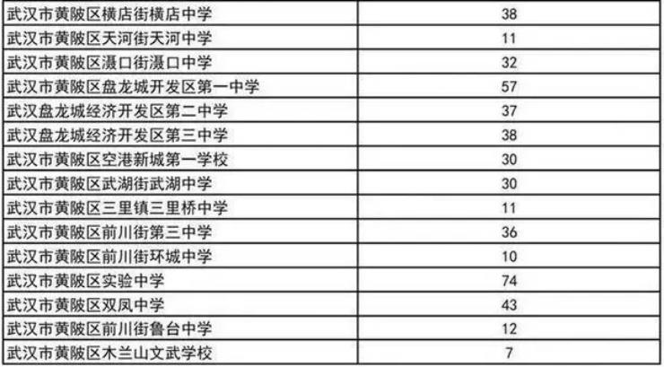 2024武汉普通高中分配生预安排招生计划公布