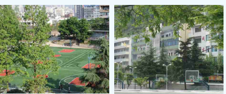 达州市职业高级中学环境