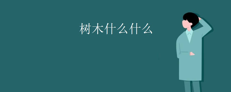 树木什么什么