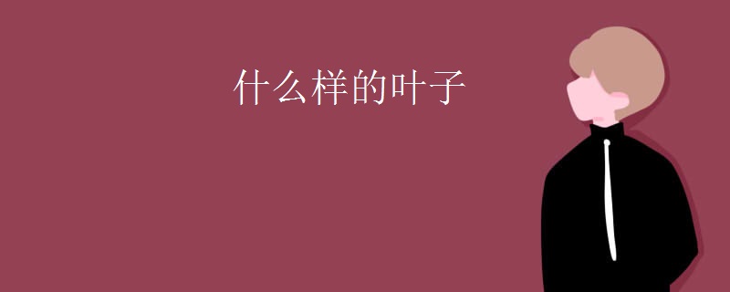 什么样的叶子