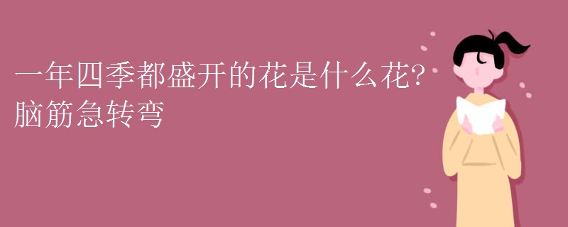 一年四季都盛开的花是什么花?脑筋急转弯