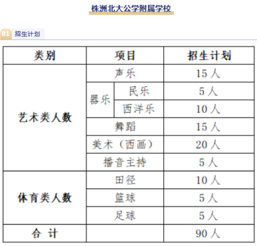 2023年株洲北大公学附属学校中考招生计划公布