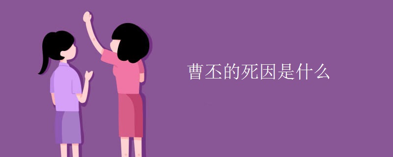 曹丕的死因是什么