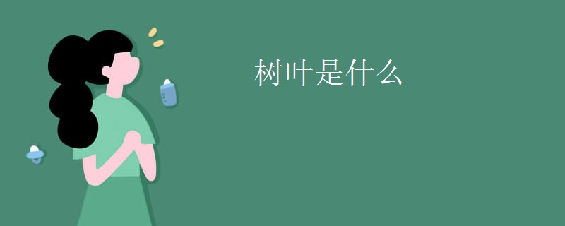 树叶是什么