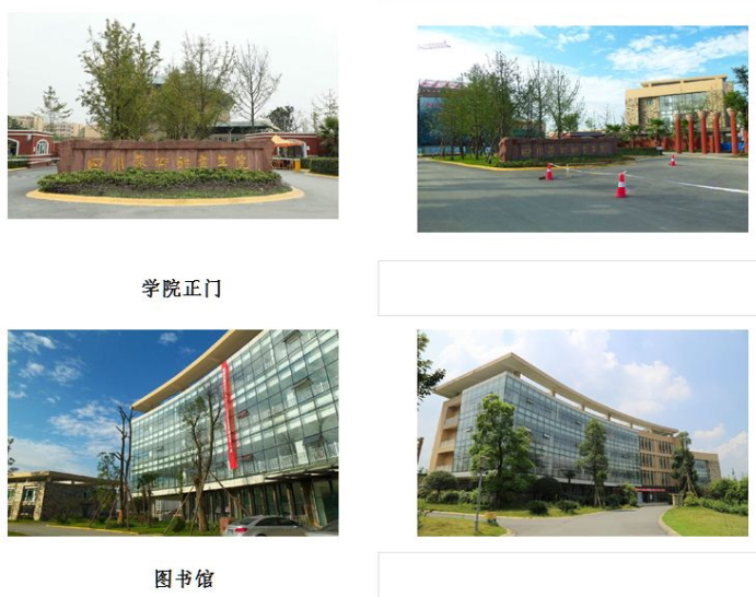四川艺术职业学院环境
