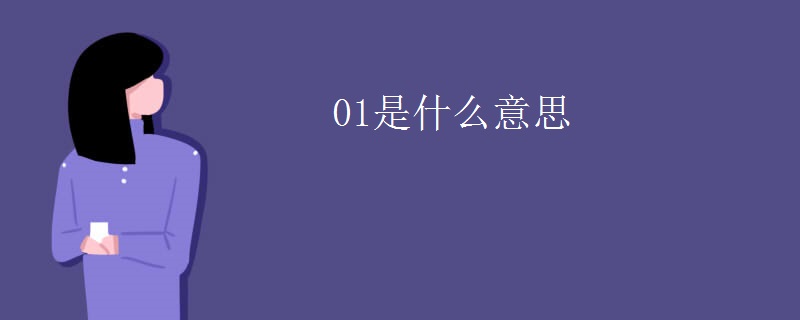 01是什么意思