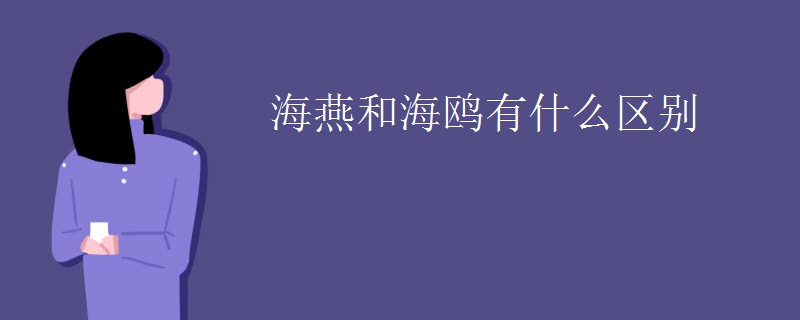 海燕和海鸥有什么区别