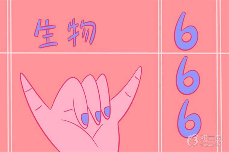 生物与环境的关系包括哪些方面