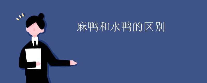 麻鸭和水鸭的区别