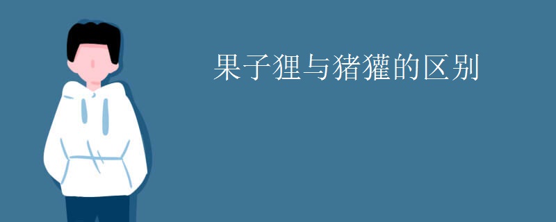 果子狸与猪獾的区别