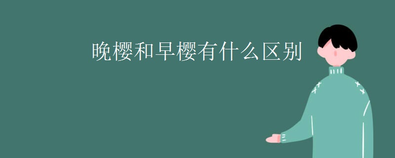 晚樱和早樱有什么区别