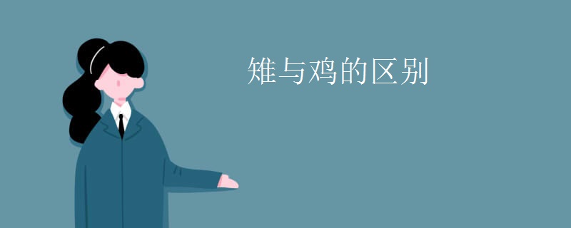 雉与鸡的区别