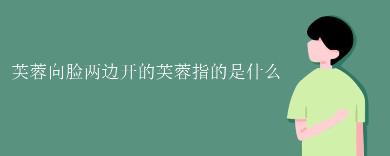 芙蓉向脸两边开的芙蓉指的是什么