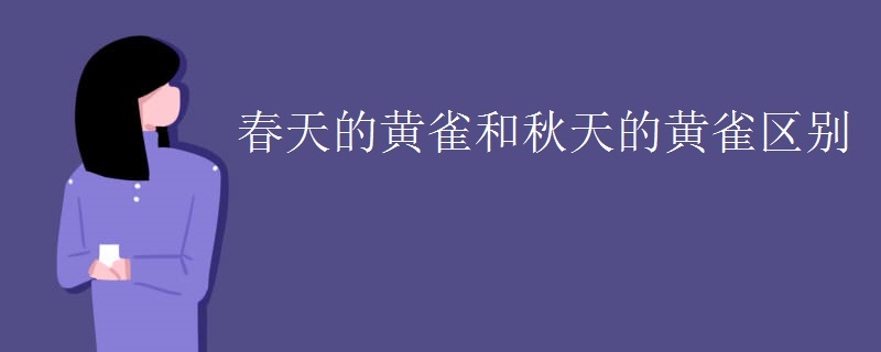 春天的黄雀和秋天的黄雀区别
