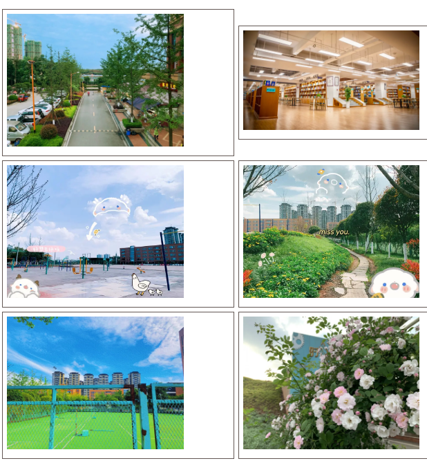 四川希望汽车职业学院环境