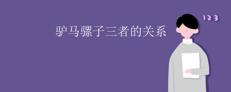 驴马骡子三者的关系