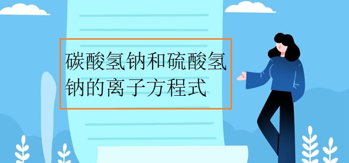 碳酸氢钠和硫酸氢钠的离子方程式
