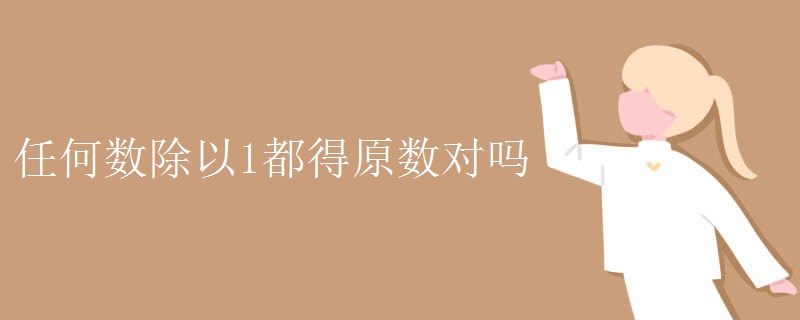 任何数除以1都得原数对吗