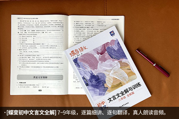 语文初中刷题推荐 语文用什么刷题书