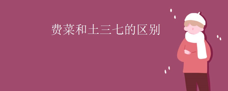 费菜和土三七的区别