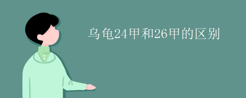 乌龟24甲和26甲的区别